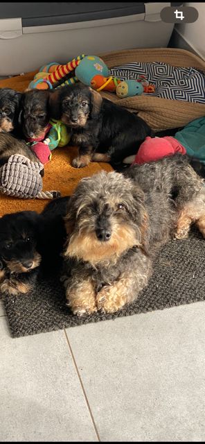 Salade noisette d'Edennefamily